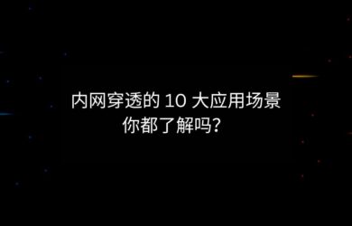 內網穿透的 10 大應用場景，你都了解嗎？ 16