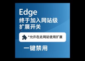 Edge 终于支持网站级扩展开关：新增「允许在此网站使用扩展」功能｜可针对任意网站，一键关闭所有扩展 11