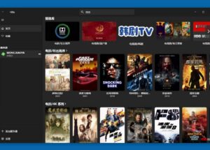 Hills Lite - 一个简单的 Emby 客户端[Windows] 13