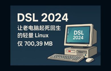 DSL 2024 - 让老电脑起死回生的轻量 Linux，仅 700.39 MB 12