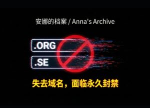 安娜的档案失去 .org、.se 两个域名，还面临永久禁令 12