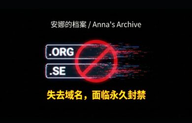 安娜的档案失去 .org、.se 两个域名，还面临永久禁令 16