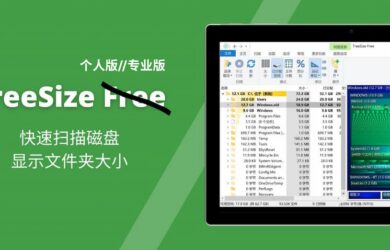 TreeSize - 专业的磁盘空间分析工具，可查找大文件、重复文件[Win] 7