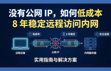 没有公网 IP，如何低成本 8 年稳定远程访问内网 23