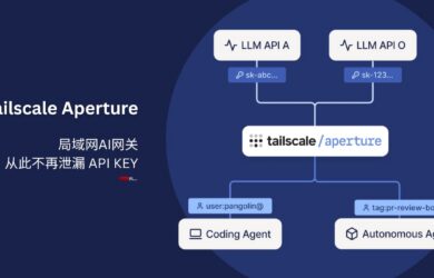 Aperture - Tailscale 本地 AI 中央网关，从此不再泄漏 API KEY 18