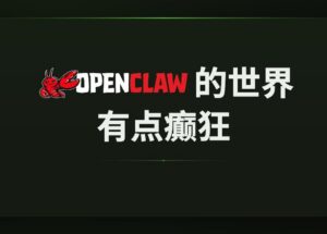 OpenClaw 的世界，有点癫狂 12