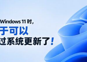 安装 Windows 11 时，终于可以跳过系统更新了 8