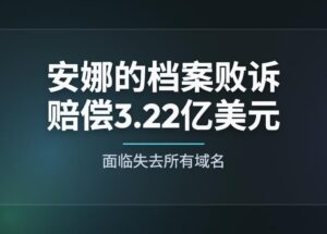 安娜的档案缺席败诉，赔偿3.22亿美元，恐失去所有域名 9