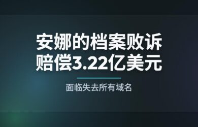 安娜的档案缺席败诉，赔偿3.22亿美元，恐失去所有域名 9