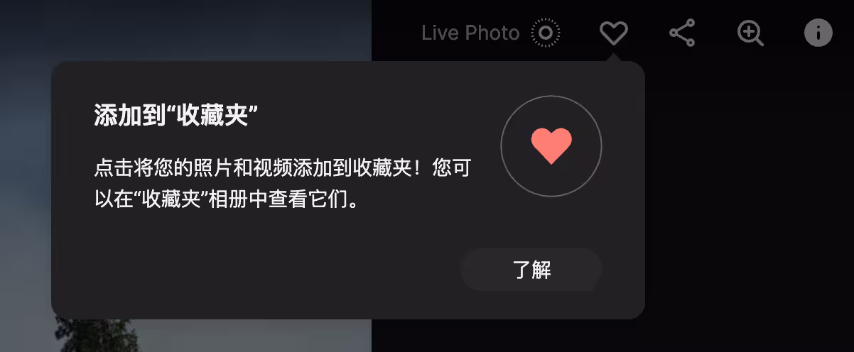 Synology Photos 服务器端更新，新增收藏夹功能 2