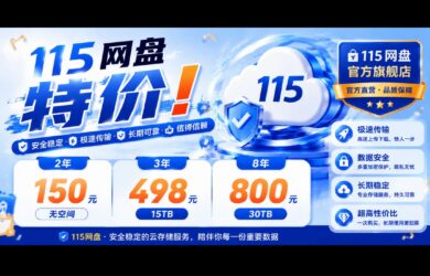 115 网盘特价：2年150（无空间），3年498，8年800｜比买硬盘划算 11