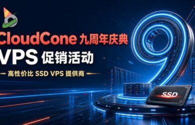 CloudCone 九周年庆典 VPS 促销活动｜高性价比 SSD VPS 提供商，最低 124 元/年 11