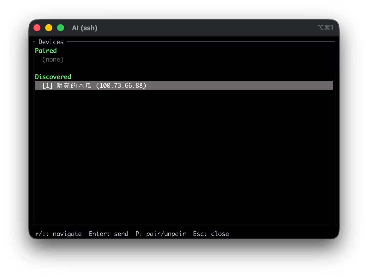 LocalSend 时隔18个月更新,发布第一个 LocalSend CLI 版本,可通过命令行传输文件 3