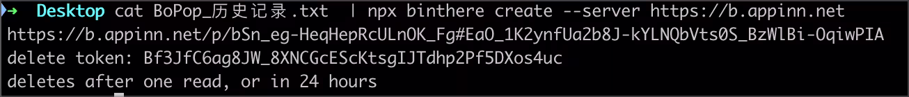 给别人发密码、API 密钥,不想留在聊天记录里?试试 binthere 5