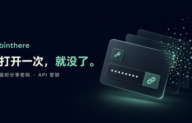 给别人发密码、API 密钥，不想留在聊天记录里？试试 binthere 12