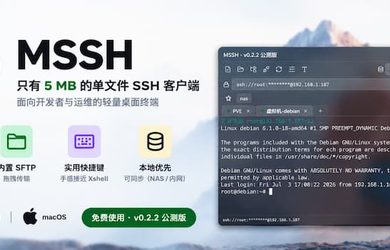 MSSH：只有 5 MB，单文件 SSH 客户端[Windows / macOS] 12