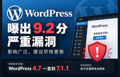 WordPress 爆出 9.2 分严重安全漏洞｜CVE-2026-87902 13