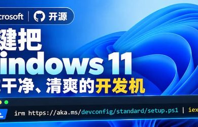微软官方开源：一键把全新 Windows 11 变成干净、清爽的开发机 10