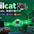 Tailscale 开源 Tailcat：快速让两台设备临时直连，即用即抛的内网穿透工具 28