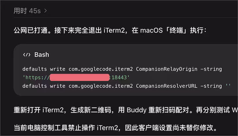 为 iTerm2 Buddy 自托管中继服务器，加速手机连接 Mac 终端速度 10